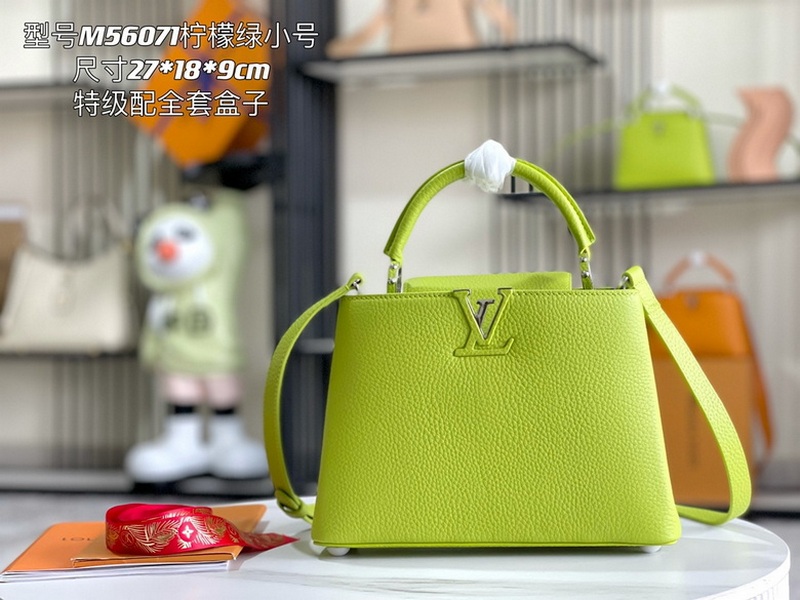 LV Handbags 511